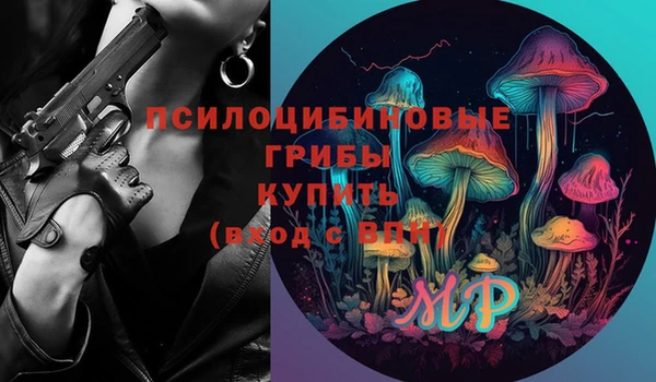 амф Алексин